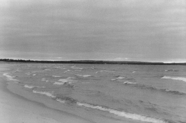 sbkbw03-wavy_michigan