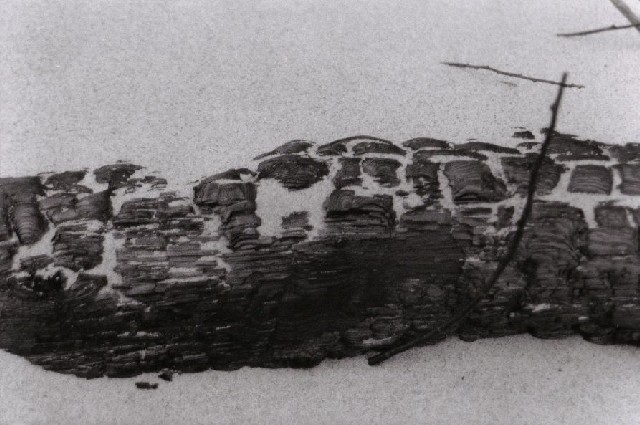 sbkbw17-study_in_driftwood,_part_IV