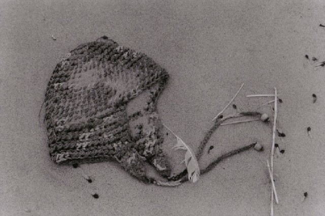sbkbw22-cap_in_sand