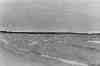 sbkbw03-wavy_michigan.jpg