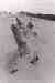 sbkbw11-study_in_driftwood,_part_I
