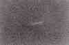 sbkbw16-feather_on_sand.jpg