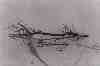 sbkbw20-study_in_driftwood,_part_V.jpg