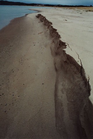 sbkc13-sand_formations