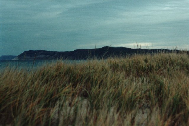 sbkc32-coastal_grass