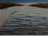 sbkc05-walkway_to_sand.jpg