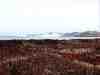sbkc14-view_north.jpg