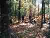 sbkc21-c,r_setting_up_camp